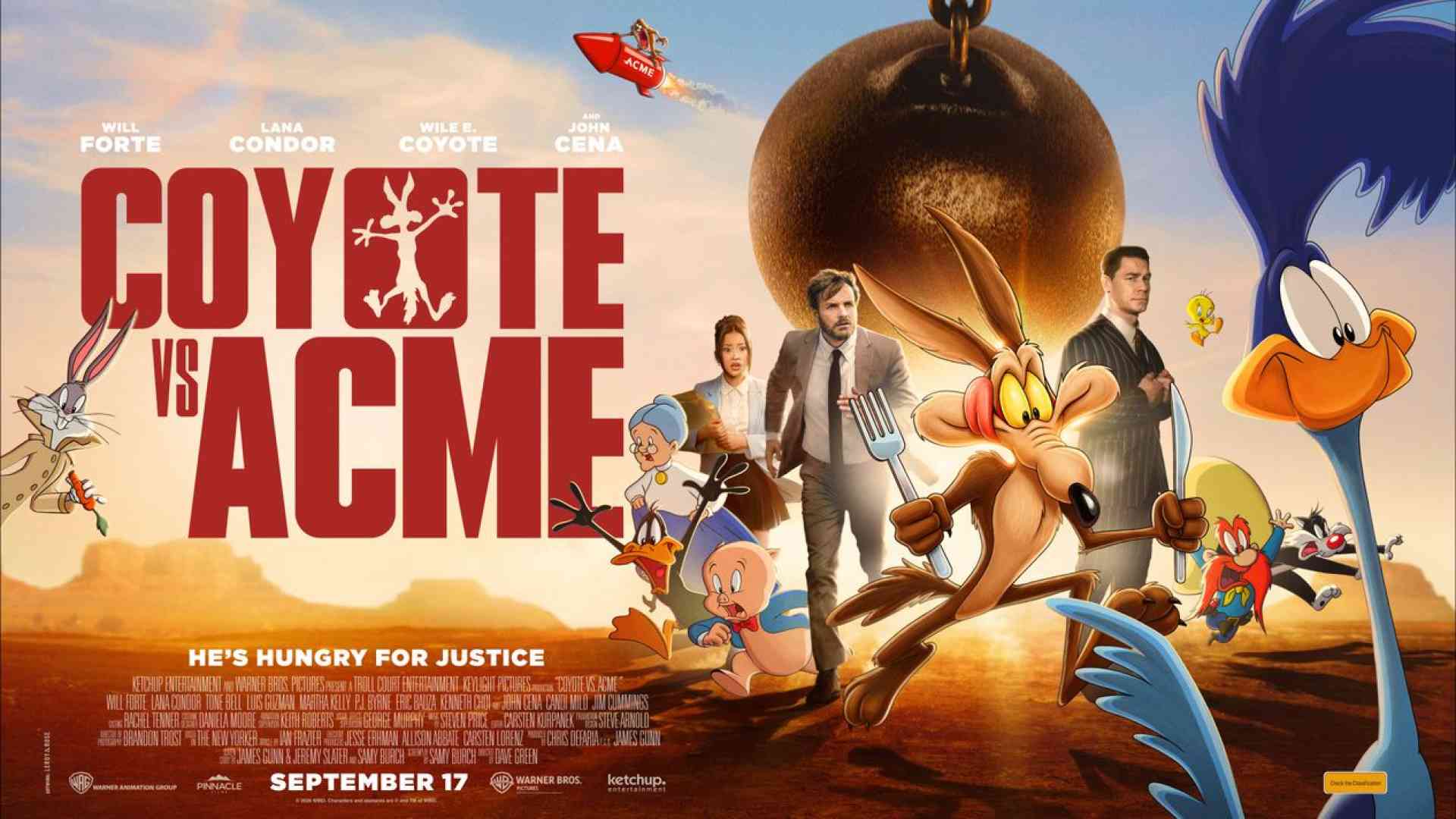 Coyote VS ACME
